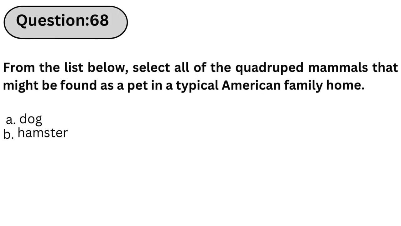 Howard And Raj Outsmart Sheldon - YouTube Auto PHP Script