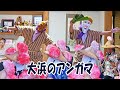 旧盆アンガマ2019(大浜青年会)