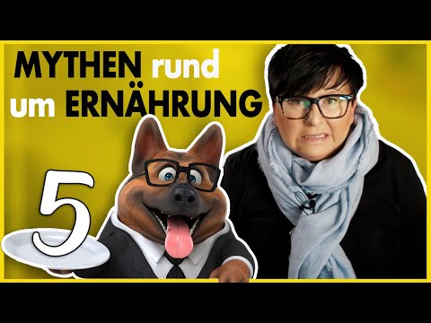 Video: Phenobarbital-Überdosierung bei Hunden