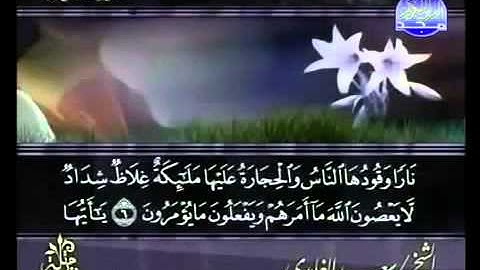 Saad al Ghamdi Surat At Tahrim سعد الغامدي سورة التحريم 