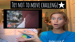 Dont Move Challenge
