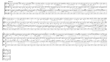 My first piece for String Quartet