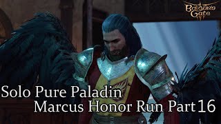 Solo Pure Dual Wielder Paladin Last Light Defense Honor Run Part 16