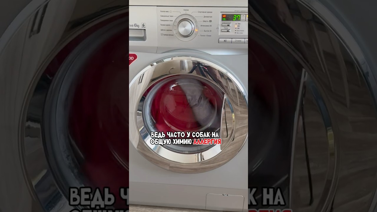 А вы ЗА или ПРОТИВ клетки?     Нейтрализатор запаха животных 