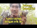 Cara dan trik mikat burung yang susah dipikat. tau pulut. tau mp3.