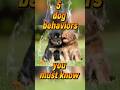 5 Dog Behaviors You Must Understand #puppy #dog