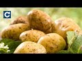 В Україні дорожчає картопля, аграрії експортують її з Білорусі