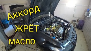 Honda Accord. Жор масла. Замена колпачков. Ремонт рейки