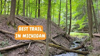 Hike the Beech Maple Trail at the Kalamazoo Nature Center in Michigan