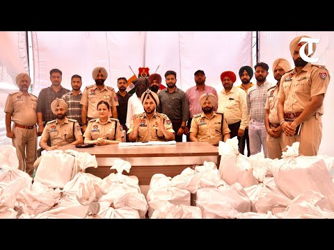 Punjab Police bust inter-state drug cartel; seizes 7 lakh pharma opioids in raid at UP godown