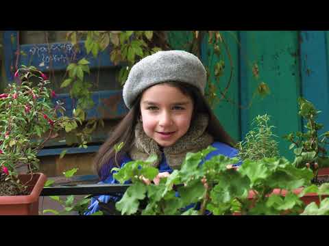 თბილისის ძველ უბანში