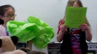 Kate's Tree Kangaroo Presentation 4/2/2010
