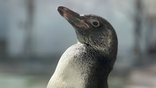 iPhone 14 Pro: Camera Test • Sample Pictures, Photos, Images • Main, Ultra Wide, Telephoto Lens • 4K