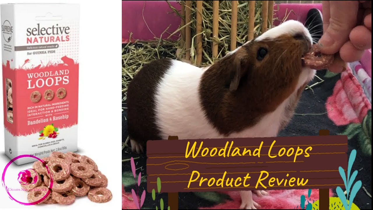 Woodland Loops Product Review
