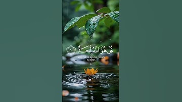 #سورة_الإخلاص #القارئ #ماجد_الصمدي