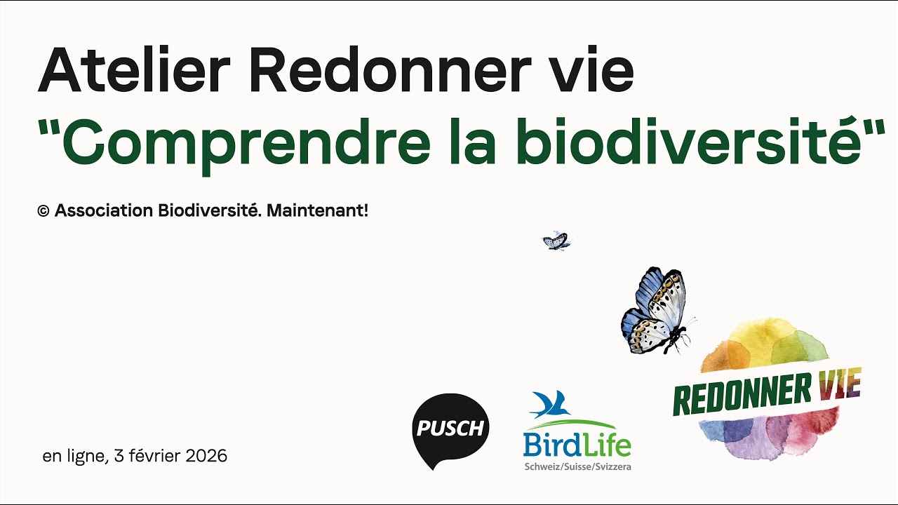 Comprendre la biodiversité – bases pour favoriser la biodiversité au jardin | Atelier Redonner vie
