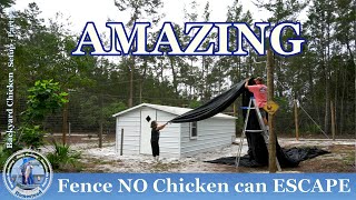 AMAZING Fence NO Backyard Chicken can ESCAPE