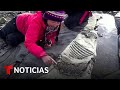 Recuperan fósil de una ictiosauria en la Patagonia chilena | Noticias Telemundo