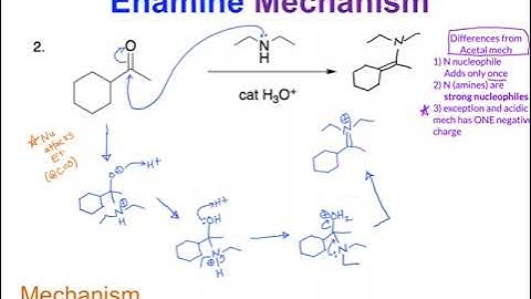 Imine and Enamine Mechanisms - Dr. C.