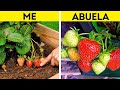 Formas Sencillas de Cultivar Deliciosas Bayas, Frutas Y Verduras En Su Jardín