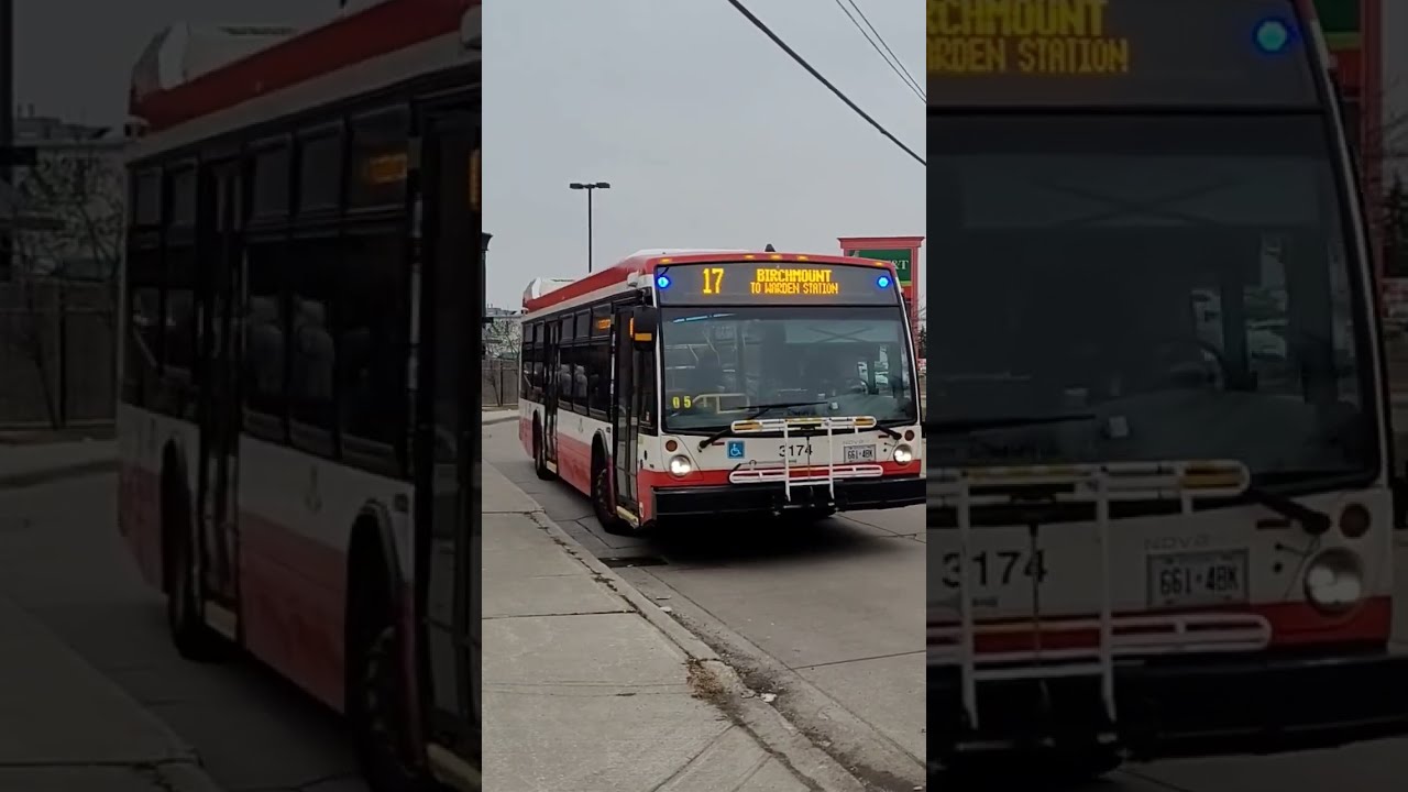 TTC Novabus LFS 3174 On 17 Birchmount To Warden Station