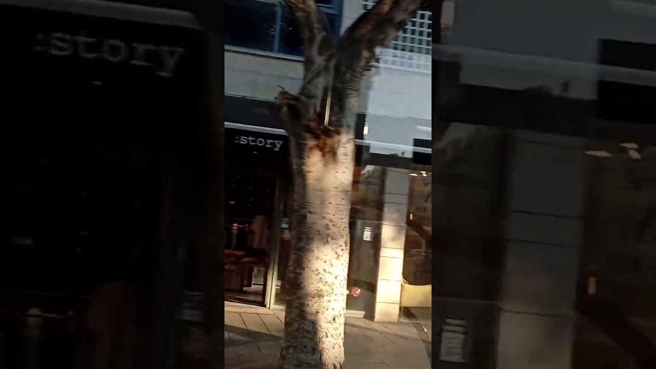 30 декабря 2025 г.