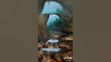 الشيخ وليد ابراهيم رحمه الله تلاوه خاشعه🌺