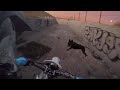 these DOGS CHASED us on our DIRT BIKES