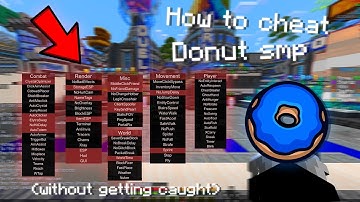 HOW to CHEAT on the DONUT SMP