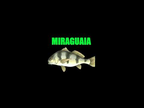 Felipeensina 1 Aprenda Os Nomes Dos Peixes Do Mar Youtube