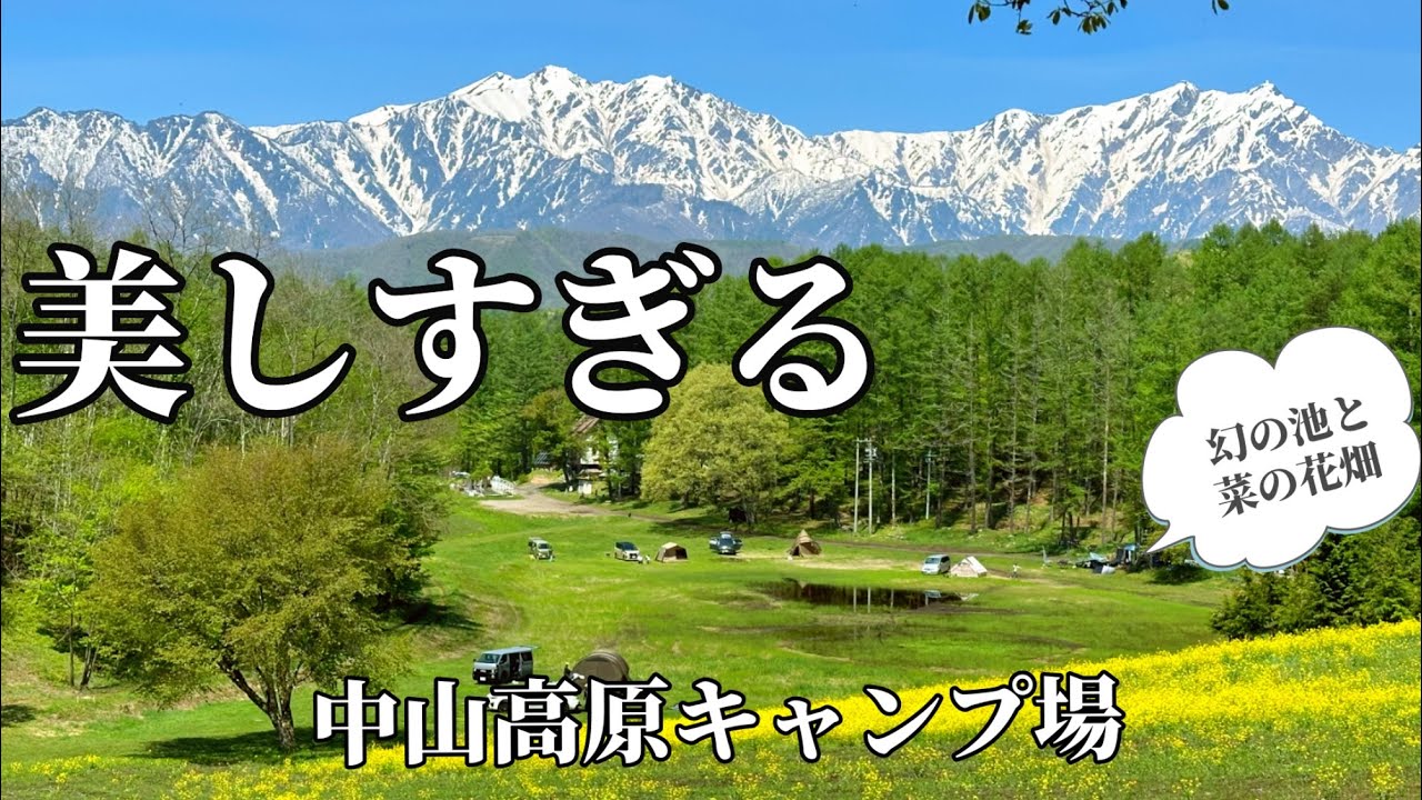 絶景！長野県【中山高原キャンプ場 幻の池と菜の花畑】50代女子ソロキャンプ ハイジがいそうな奇跡の美しさ  #犬連れキャンプ #アラフィフ  #エアーテント #beautifuljapan
