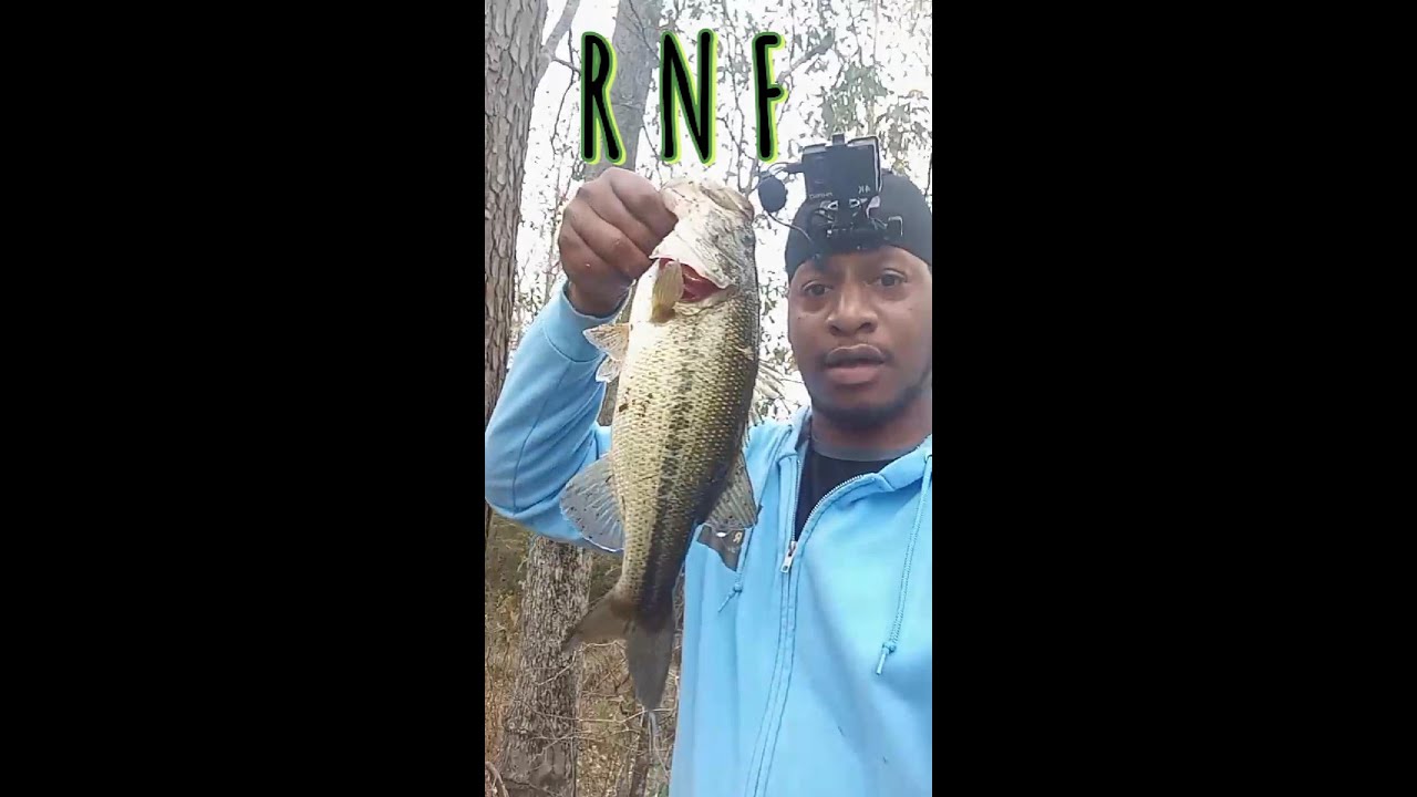 Big Bass in My Hometown