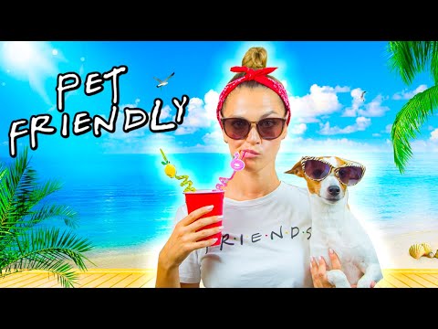 PET FRIENDLY ОТПУСК🐶🏖  | Отдых с собакой: жильё, транспорт, собираем чемодан