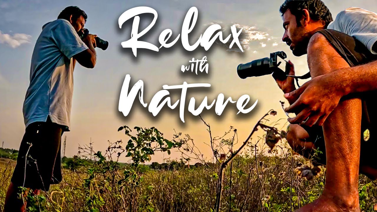 Taking a Break – With the Help of Nature 🌳📸 | A Slow Escape into the Forest