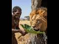 How Homo Habilis Ancestors Saves a Trapped Lion #prehistoriclife #homohabilis #lion #ancestors