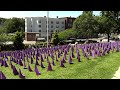 A Sea of Purple: Remembering Massachusetts Overdose Victims