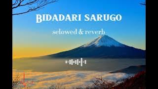 #opik ft Shani - Bidadari sarugo (slowed & reverb)