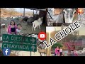 Video de Chavinda