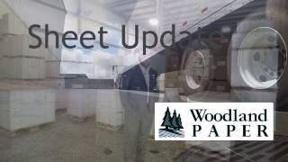 Woodland Paper Sheet Update American Eagle