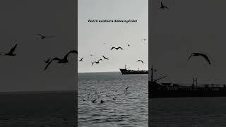 Beni Bir Divane Ettin Edeligece Gündüz Yanar Yanar Yanar Ağlarım