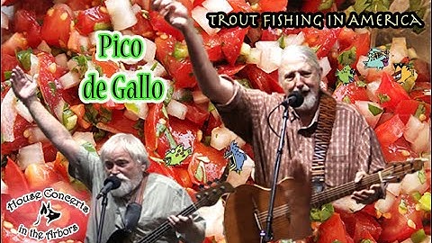 "Pico de Gallo" live performance by Trout Fishing in America