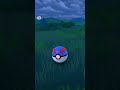 Makuhita – Pokémon #pokemongo