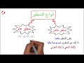 شرح الشيك بطريقة جميلة وملخصة تعريفه وانواعه الشيك المسطر وانواعه الشيك المعتمد السياحي