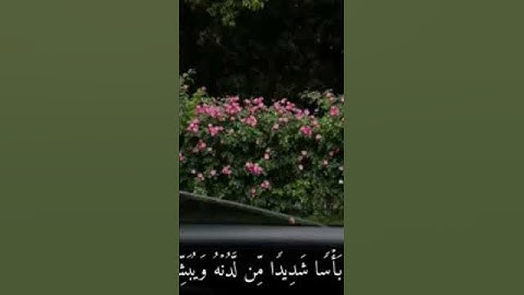 سورة الكهف ❤️ #اكسبلور #foryou #راحة_نفسية #quran #art