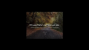 عبدالرحمن مسعد🤍🎧قرآن كريم✨سورة العنكبوت #اكسبلور #قرآن #. : ᷂اطمئنَانيہ ᜊ .