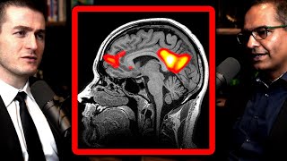 The brain thinking about itself: Default mode network explained | Charan Ranganath and Lex Fridman