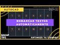 Enmarcar textos automáticamente en Autocad.