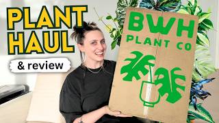BWH Plant Co Haul, Review & Giveaway! 📦🪴 USA Online Plant Shopping