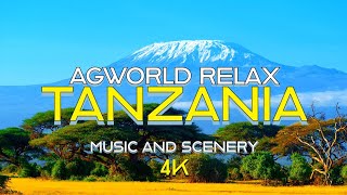 Tanzania 4K - Peaceful Relaxation Meditation Music screenshot 1