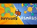 Molecular Movement Insights: Diffusion and Osmosis Explained